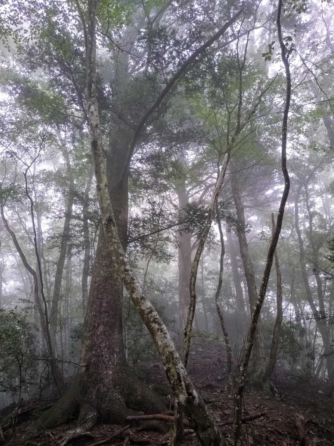 霧の中😅🤗