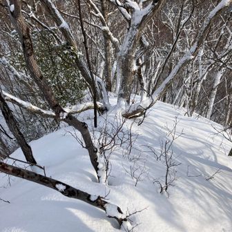 外山へはここを下るようだけど……