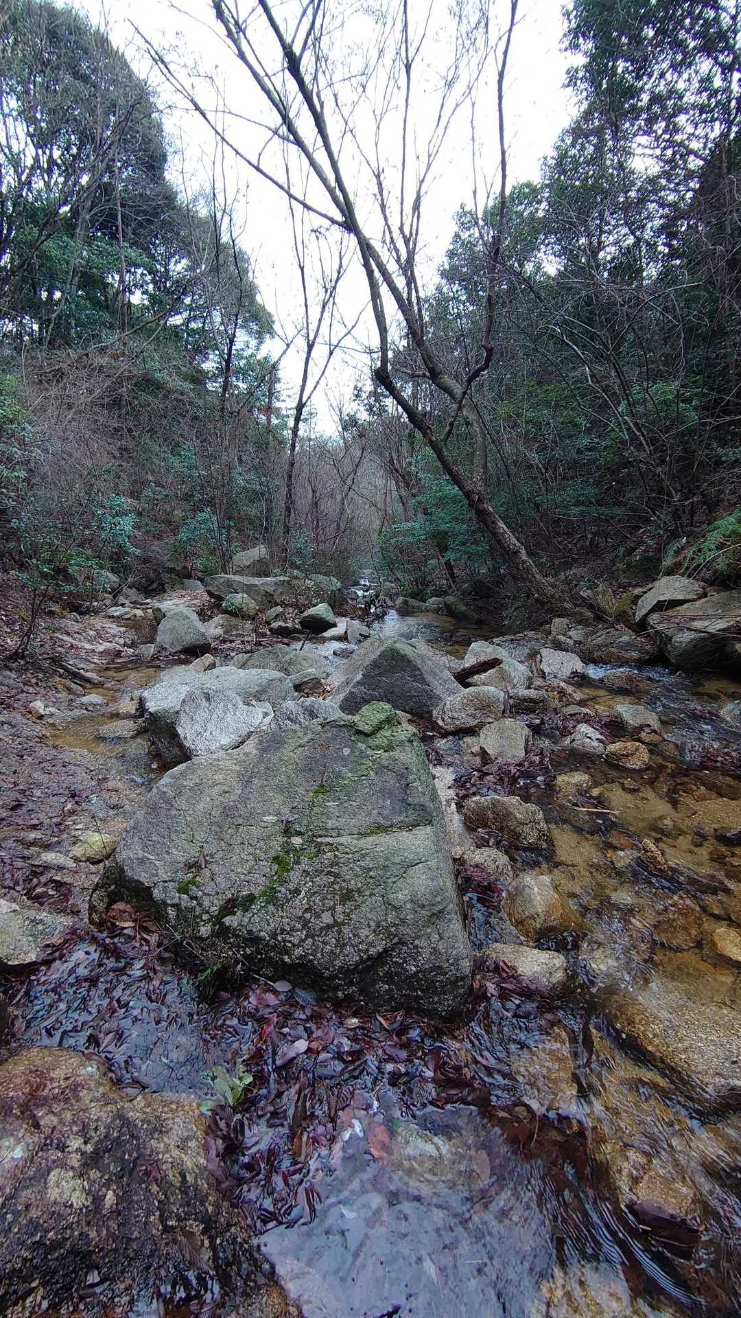 下流方向