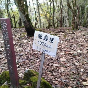最初のピーク
蛇越岳です