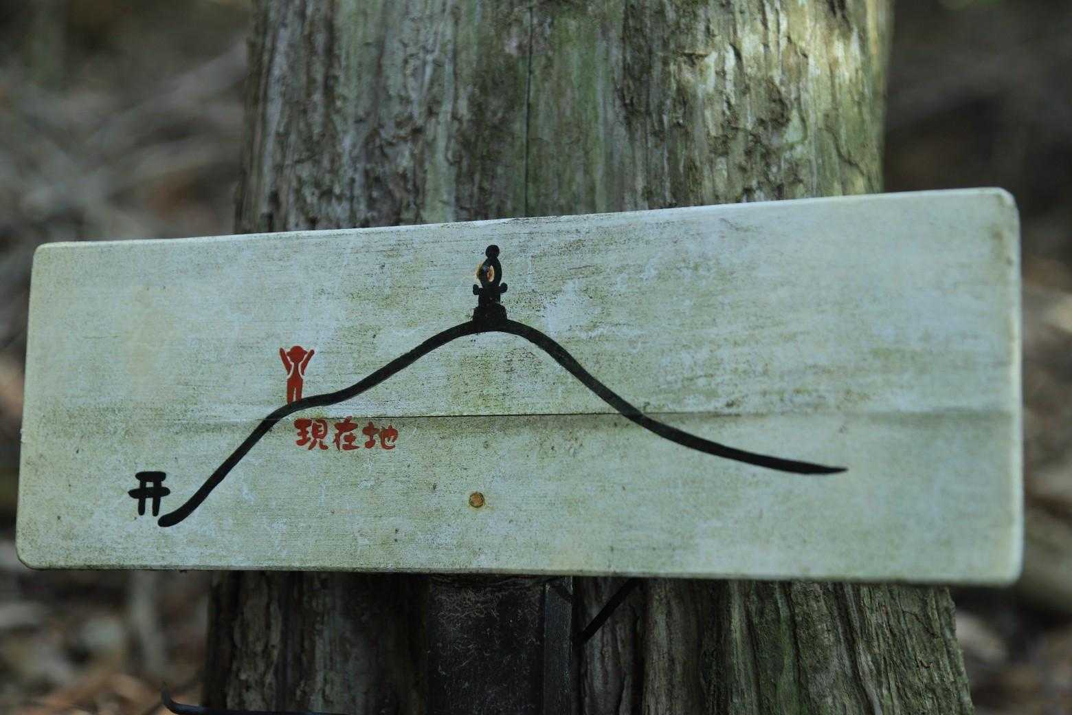 中腹まで降りてきた