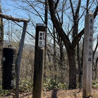 鷹取山からは生藤山〜陣場山の稜線が見える