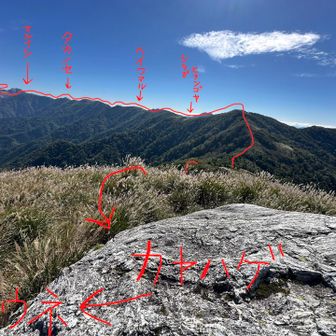 経路はこんな感じ