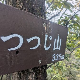 つつじ山
ちなみにさすがにつつじは咲いてなかった