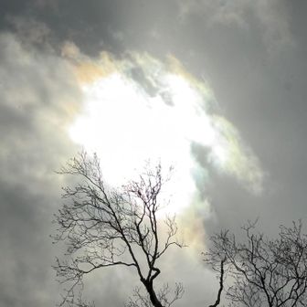 太陽ぐにゃり☀️