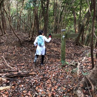 ここで九州自然歩道に合流