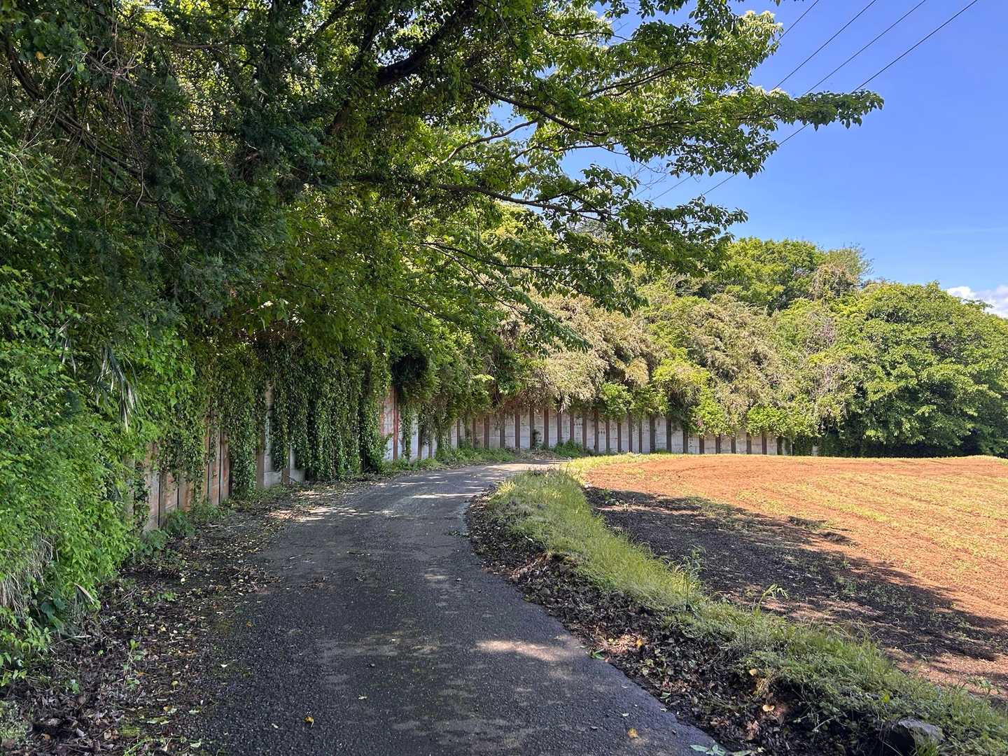 平坦な道が続く