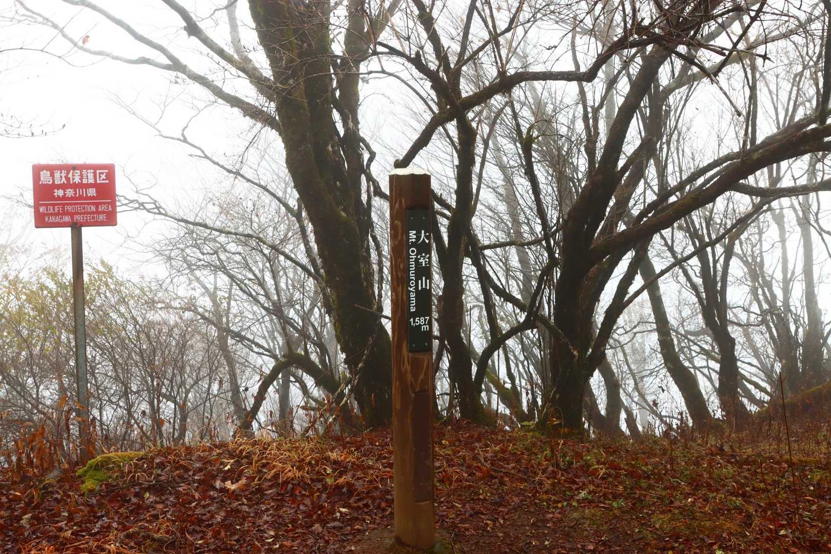 到着〜♪
楽チン登山で良かった良かった☺️