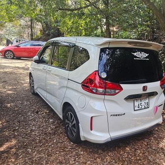 臼杵山登山口駐車場に戻り終了します。