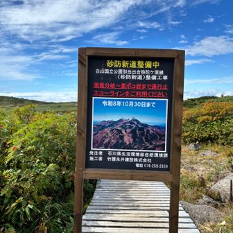 お知らせありました📢