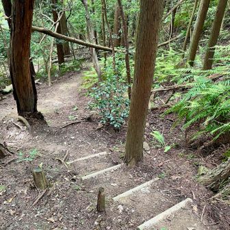 南峰から来た道を戻り、分岐を右へ下りていく