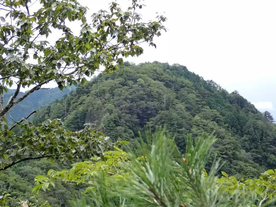 岩古谷山の写真