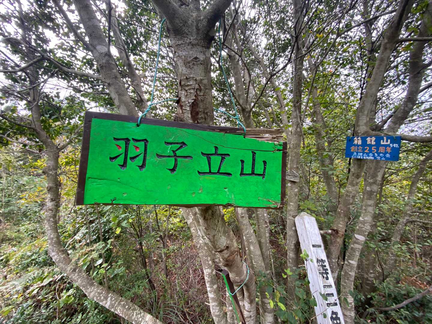 箱館山ではなく、羽子立山なんですね😲
