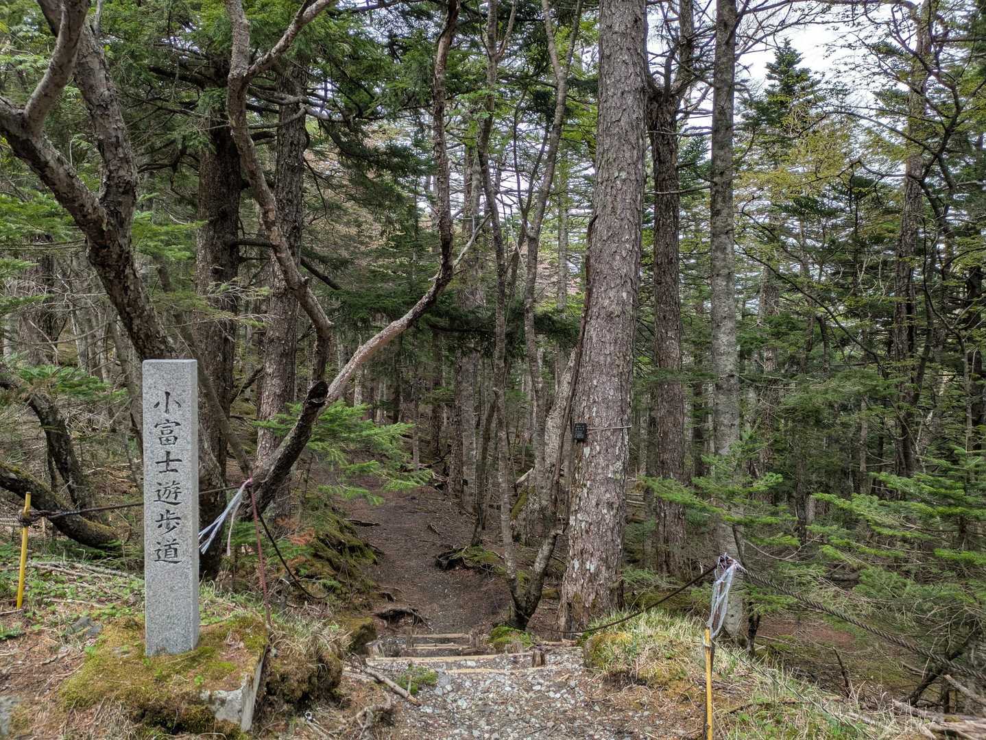 小富士へ向かいます