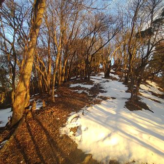 時間切れです。　下山します🥲