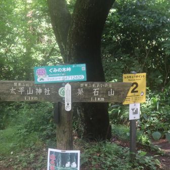 ぐみの木峠
今日はここで下山。