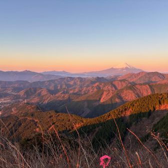 モルゲンロート