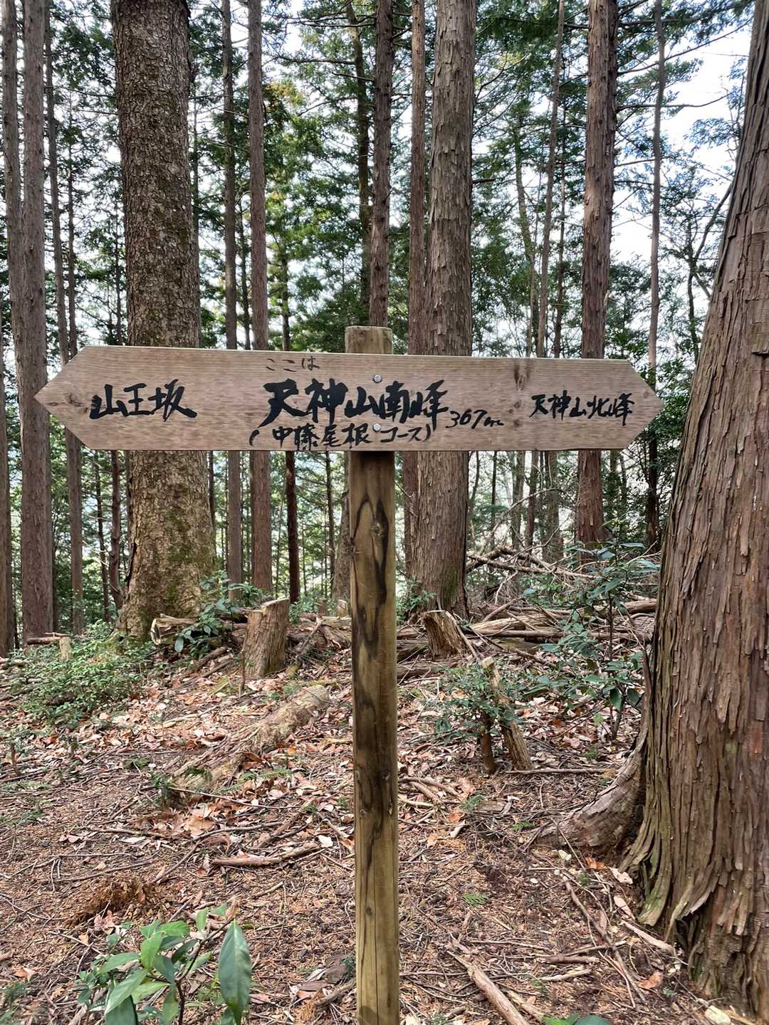 ここは天神山南峰。さっきの道標よりわかりやすい😀美しい道標ですね。