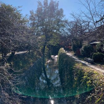 初冬に想ふ
哲学の道