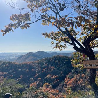 来て良かった〜💖