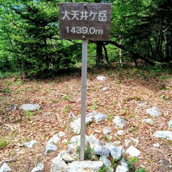 大天井ヶ岳!!キタ~🙌
やっと着いた😭