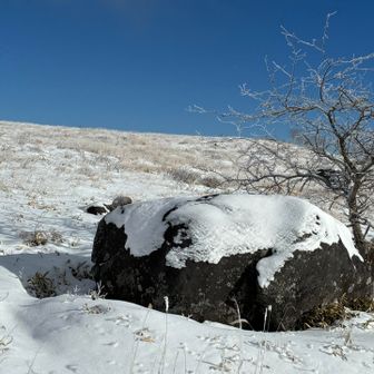 スヌーピー🐶岩♪(๑ᴖ◡ᴖ๑)♪