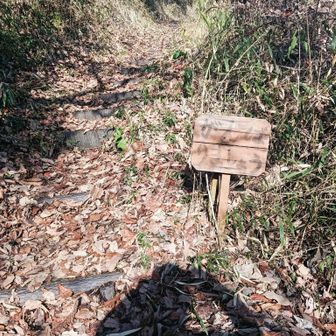 がんばりましょうと書いてあります