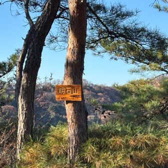まだピークあったと思ったら、この後もあって合計８座も取れた⛰️