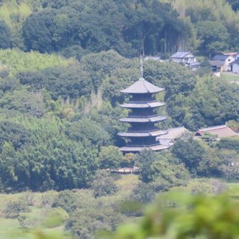妙見展望台から見た備中国分寺五重塔