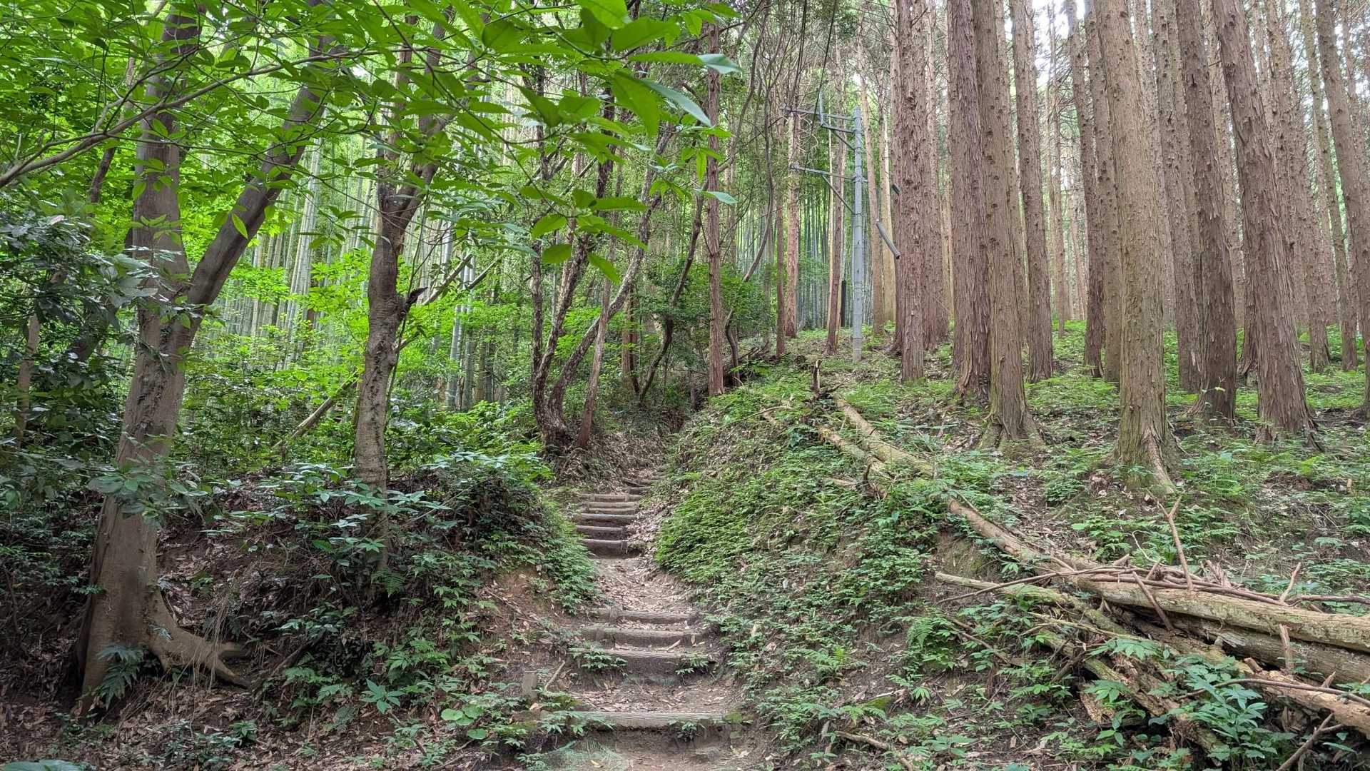 山頂へ