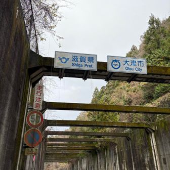 国道を1時間歩いてようやく滋賀県🙌