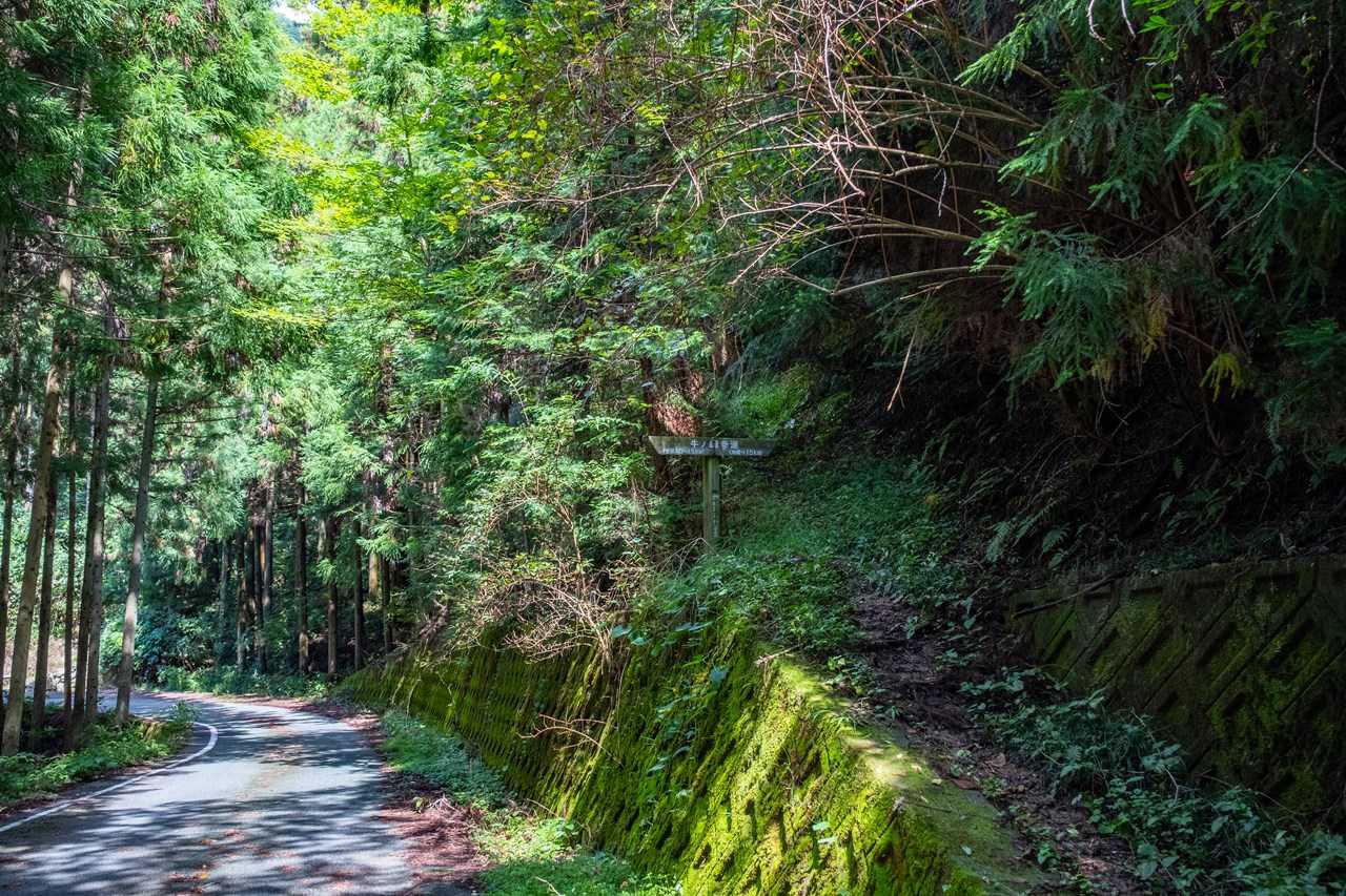 登山道へ
