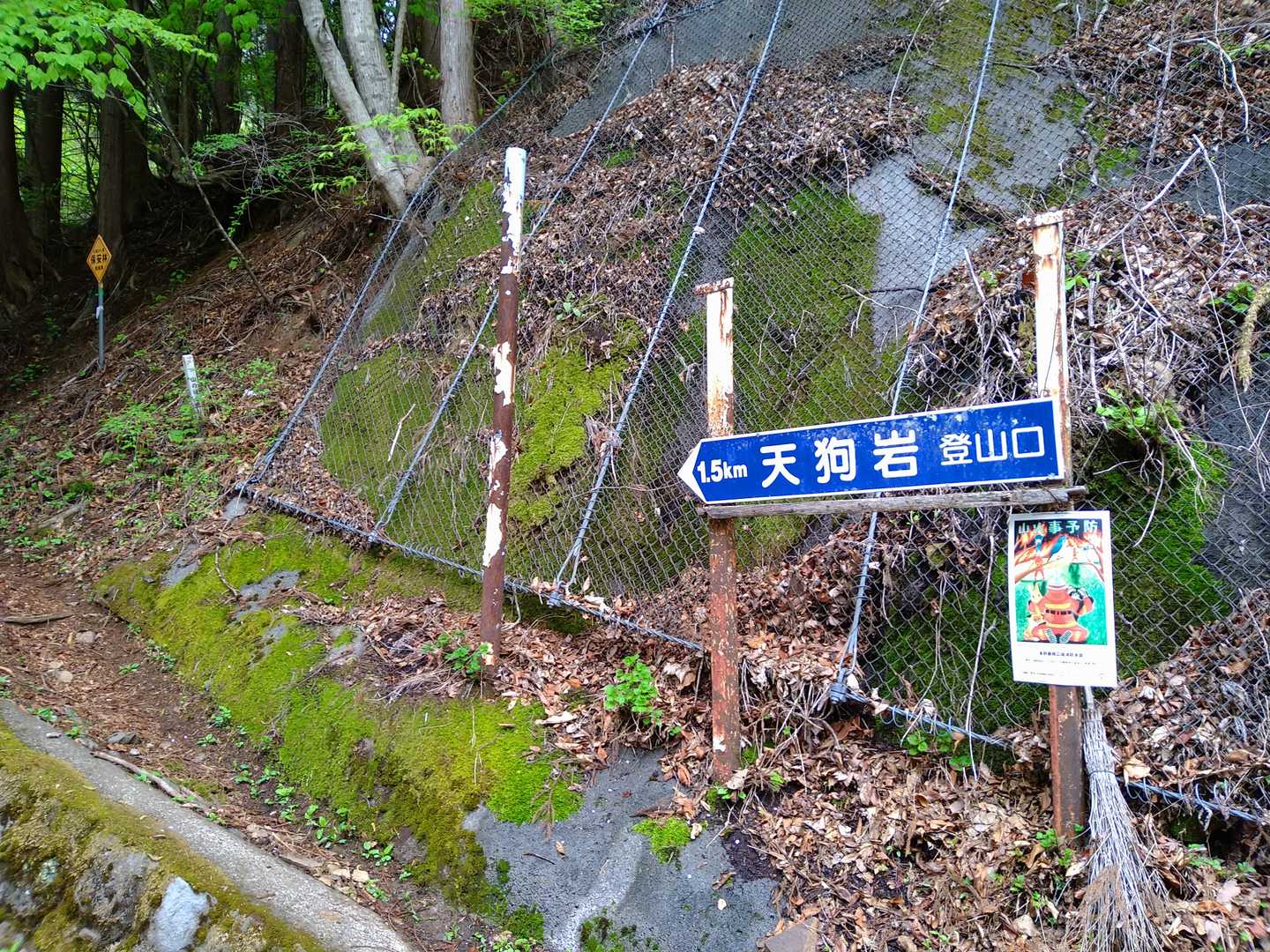 天狗岩登山口-天狗岩 往復コースの写真