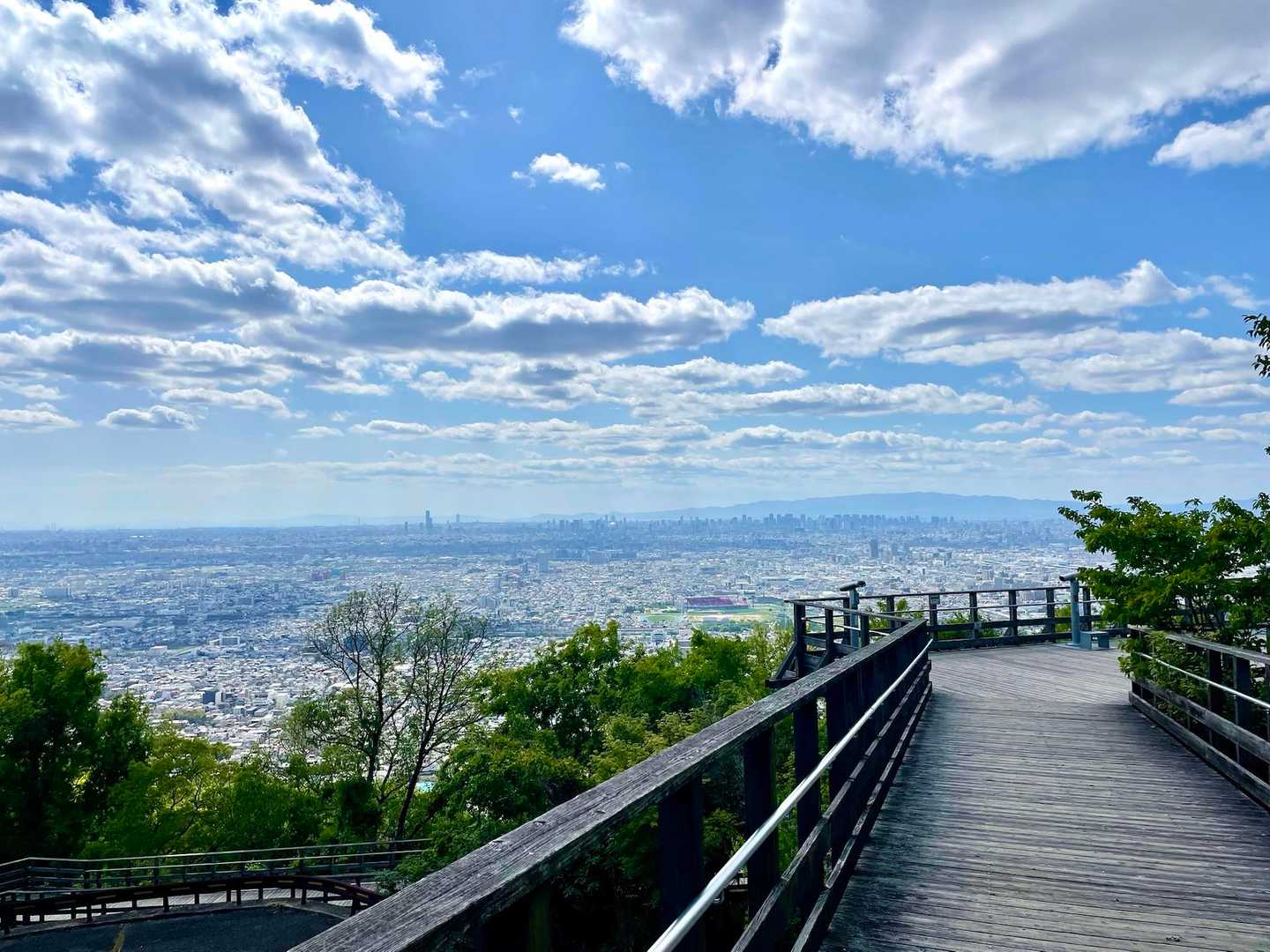 展望台からの眺め