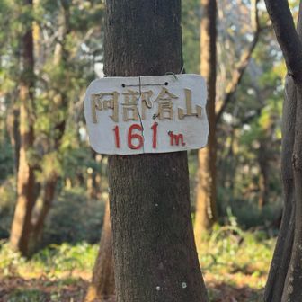 阿部倉山161m  