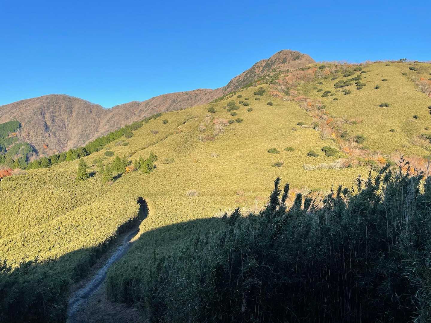 公時神社登山口-金時山-矢倉沢峠-明神ヶ岳-宮城野 縦走コースの写真