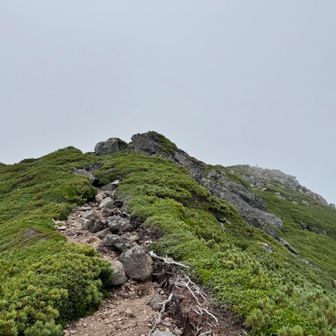 名残惜しいけど山頂を後にする。山頂を振り返って。