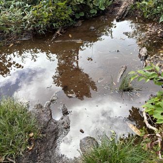 昨日の大雨の影響もあるのか、完全水没箇所。早く木道の修理もお願いしたい。