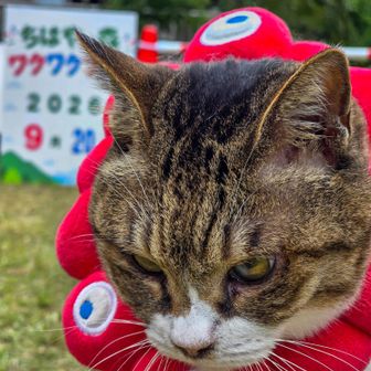 人が集まり出したので移動w
たらしのぴのﾁｬﾝ♡
強制移動で怒ꉂ(ˊᗜˋ*)