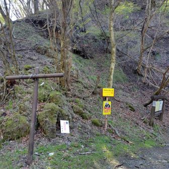 内山峠登山口からスタートです💨
綺麗な仮設トイレあり助かります😌