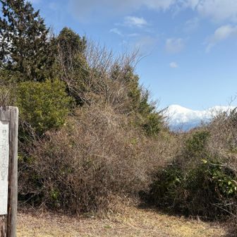 スタートから2時間半、大丸山登頂。