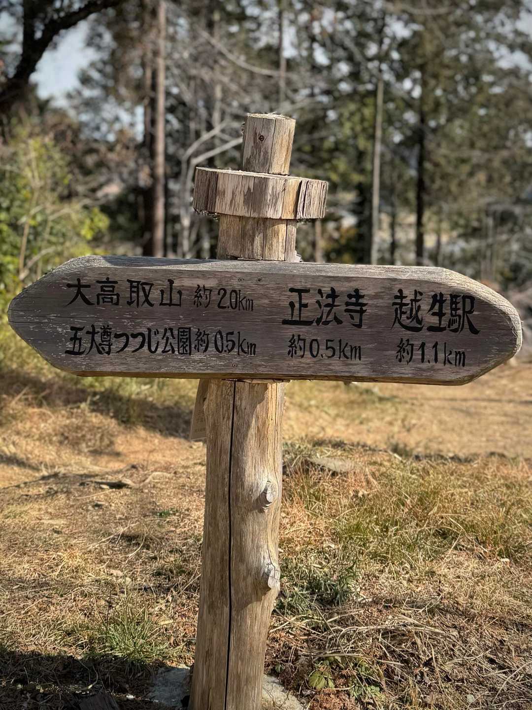 書体がいい感じ👍