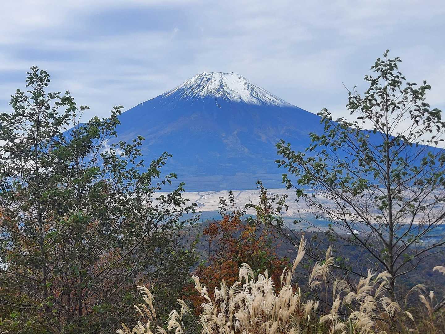 この景色を見ながら