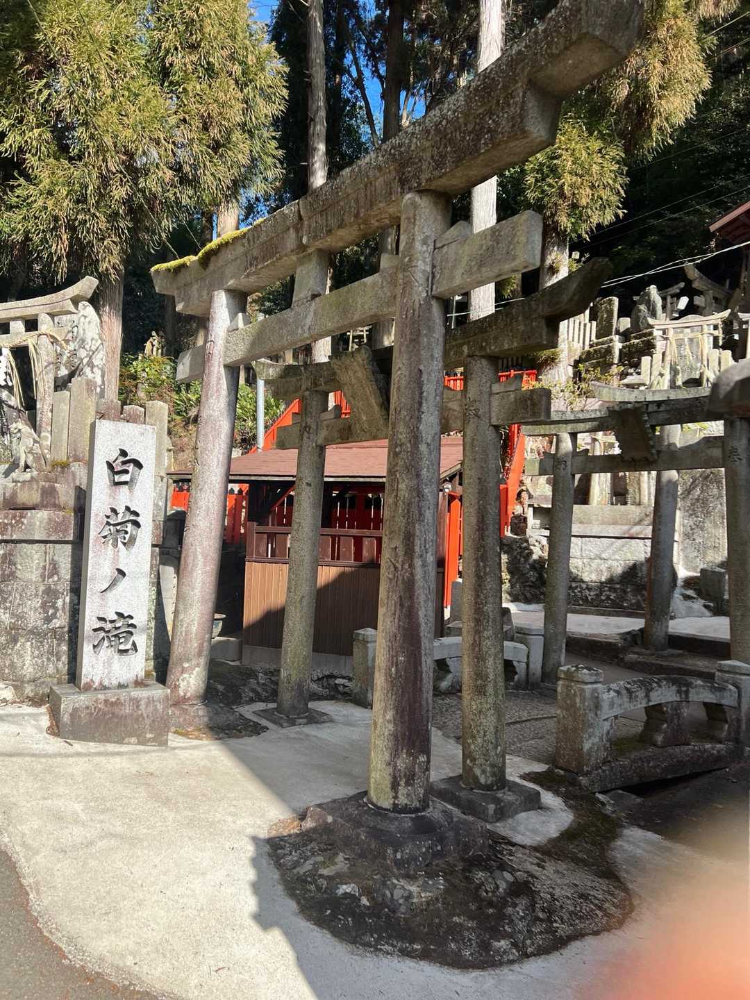 白菊ノ滝💁‍♀️伏見稲荷には、色んな滝の着いた名前があるらしく時間があれば行きたかったです！