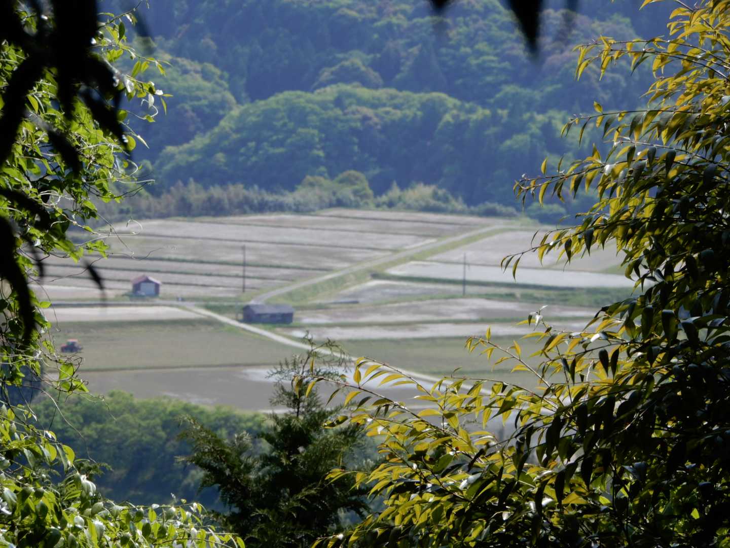 眼下に長閑な田園風景が広がる 👀
