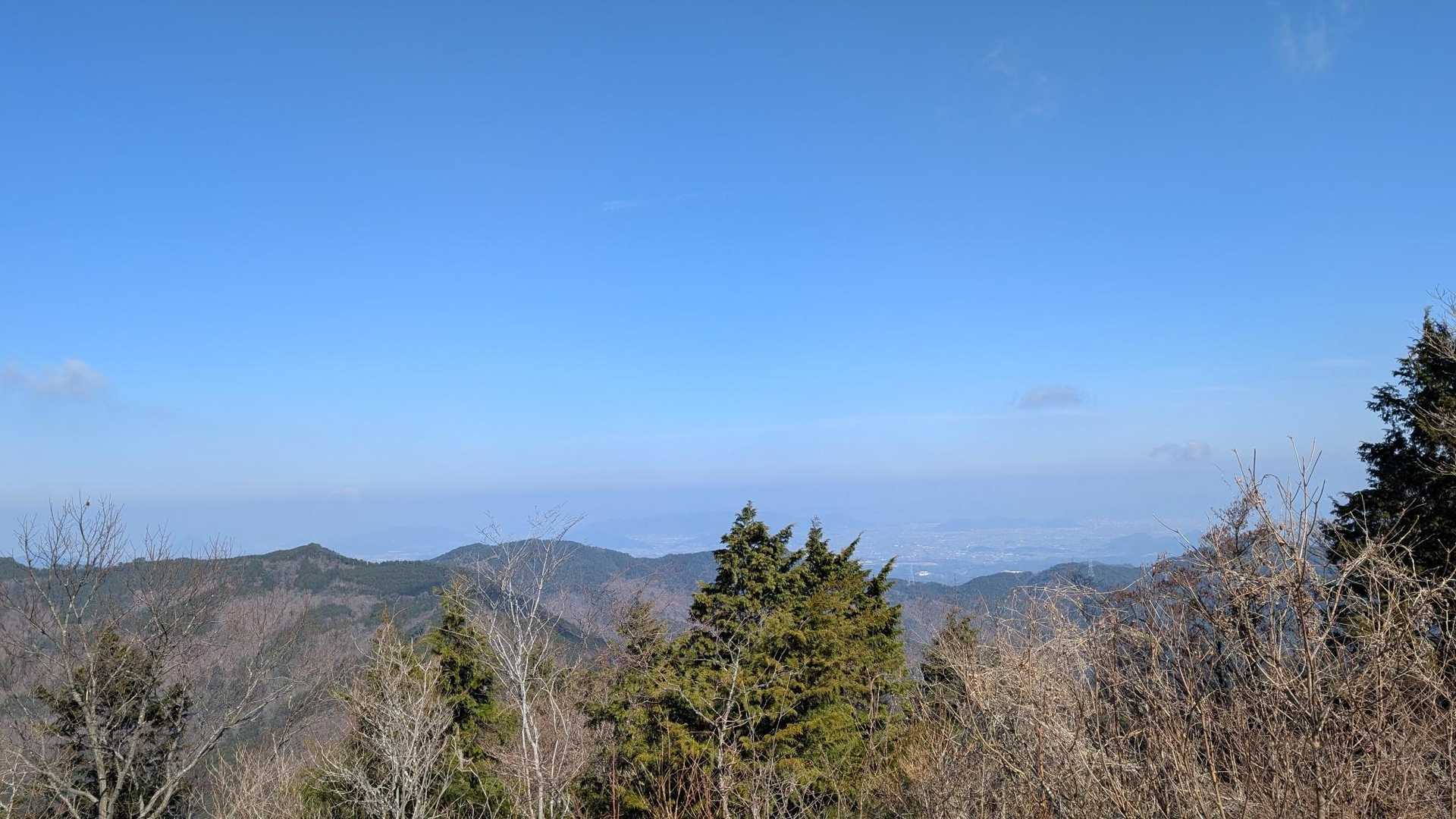 阿波竜王到着