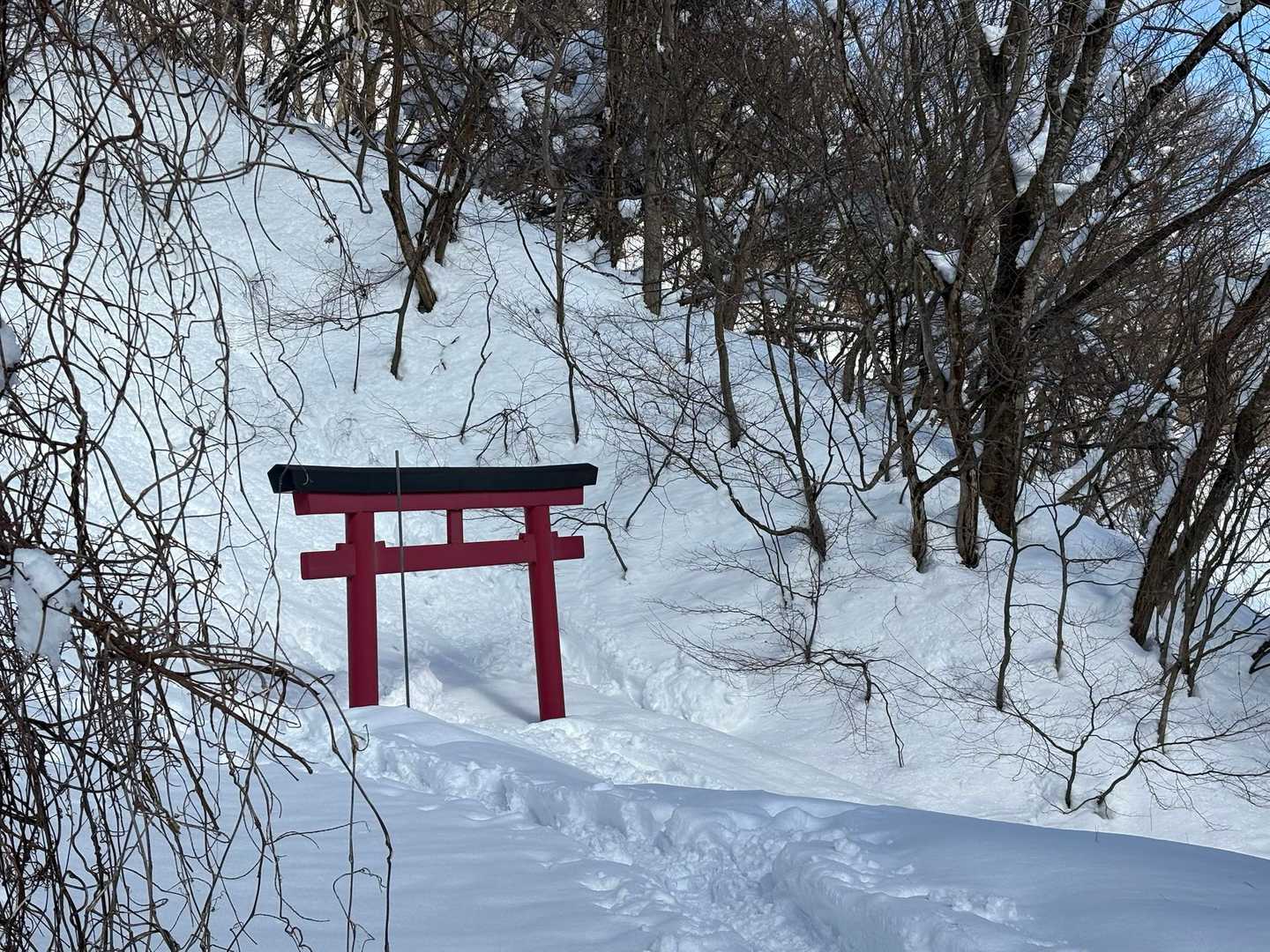 戸室山 往復コースの写真