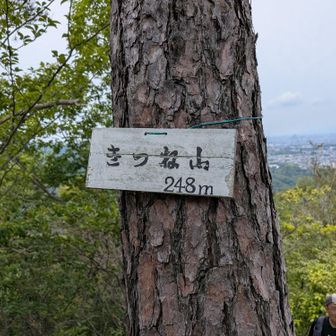 きつね山　248m