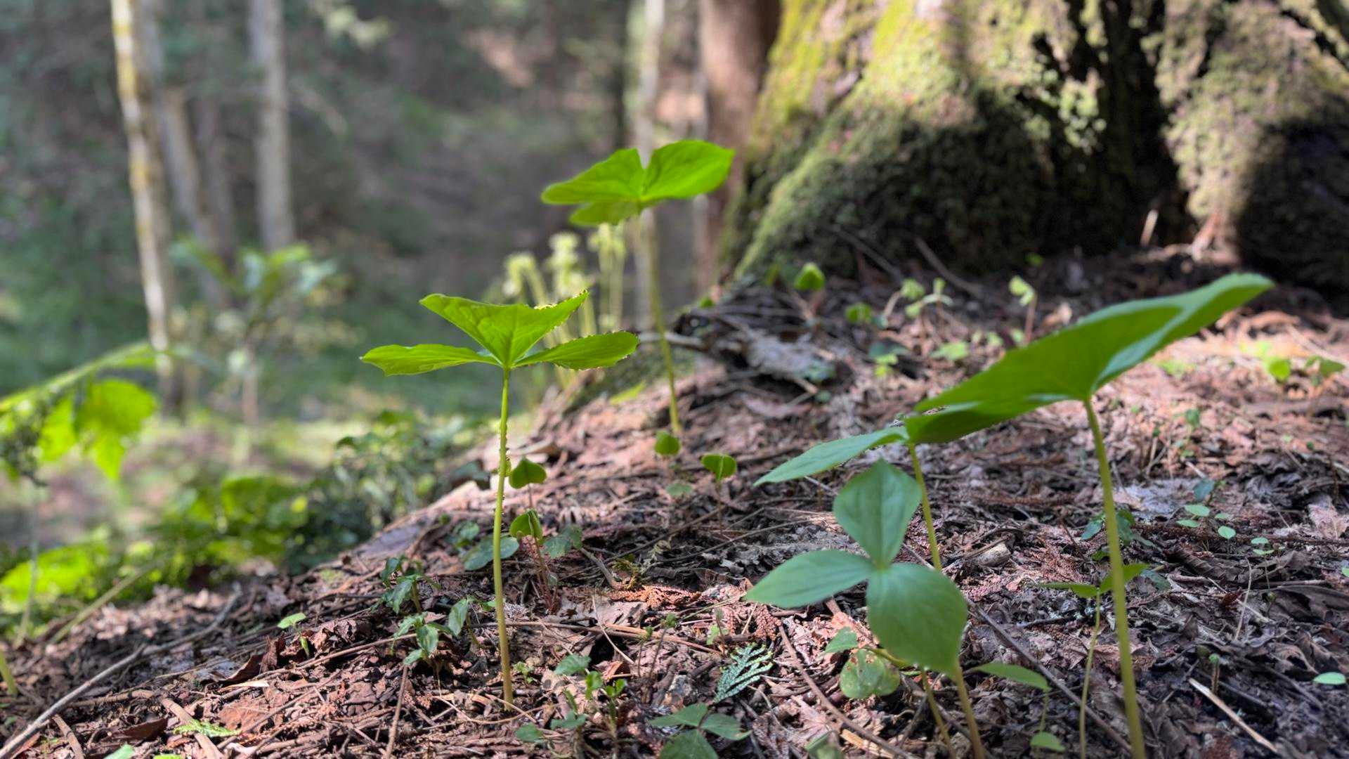 向く方はどなたさまもおなじ✨