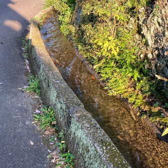 この水路は涼しげです。

ここで、地元の方と天然プールから地下足袋の話に。地下足袋は、足の指が広がっていいですね　と言われました。分かっていらっしゃる👍
